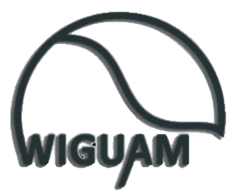 Rumah Produksi Wiguam